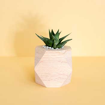 软件中心便捷的24小时轰炸对方的电话